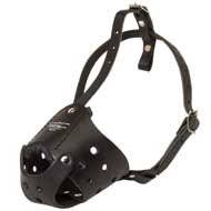 Everyday Leather Boxer Muzzle for Training  Everyday Leather Boxer Muzzle for Training