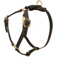 Y-Shaped Leather Boxer Harness for Tracking and Training