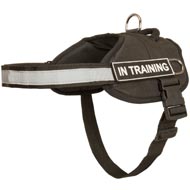 Nylon Boxer Harness with Reflective Strap for Training, Walking, Police Service, SAR and More