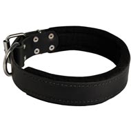 Boxer Durable Padded Leather Collar 40 mm