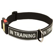 All Weather Nylon Boxer Collar with ID Patches  All Weather Nylon Boxer Collar with ID Patches