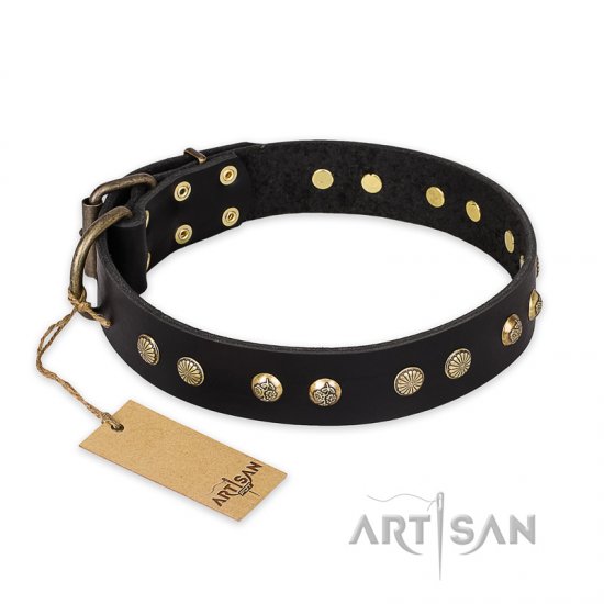 "Black Elegance" FDT Artisan Leather Boxer Collar with Round Studs