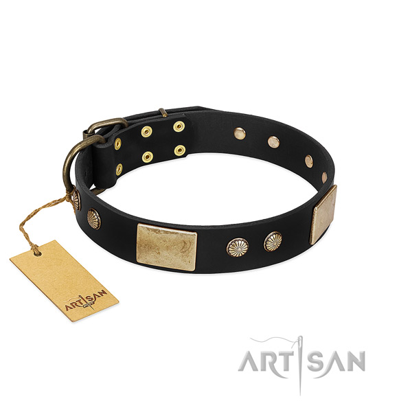 Adjustable full grain genuine leather dog collar for daily walking your four-legged friend