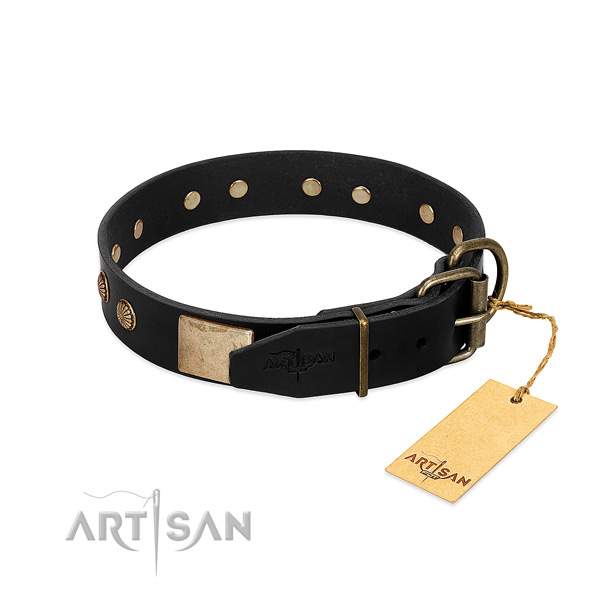 Strong traditional buckle on handy use dog collar