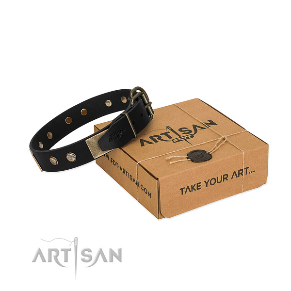 Corrosion proof hardware on dog collar for handy use