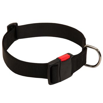 Nylon Boxer Collar for Training and Waling