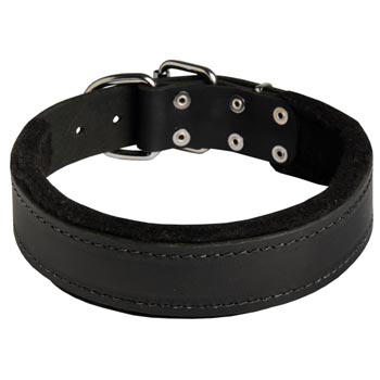 Adjustable Boxer Collar