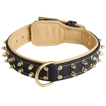 Leather Boxer Collar Spiked Padded with Nappa Leather Adjustable 