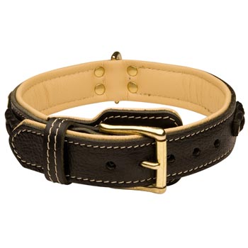 Boxer Decorated  Leather Dog Collar