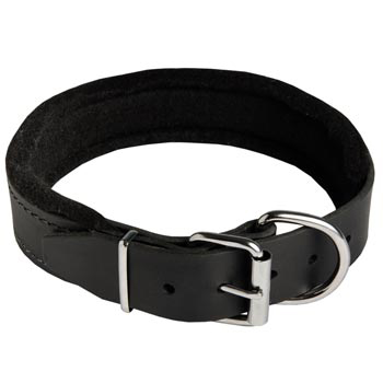 Padded Walking Gear for Boxer Training