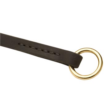  Leather Choke Collar for Boxer Training