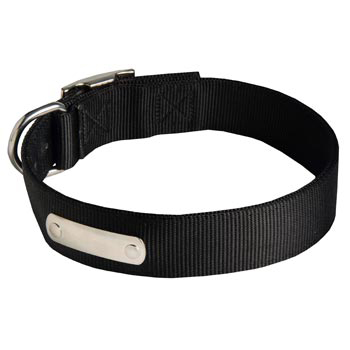 Nylon Boxer Collar with Identification Tag