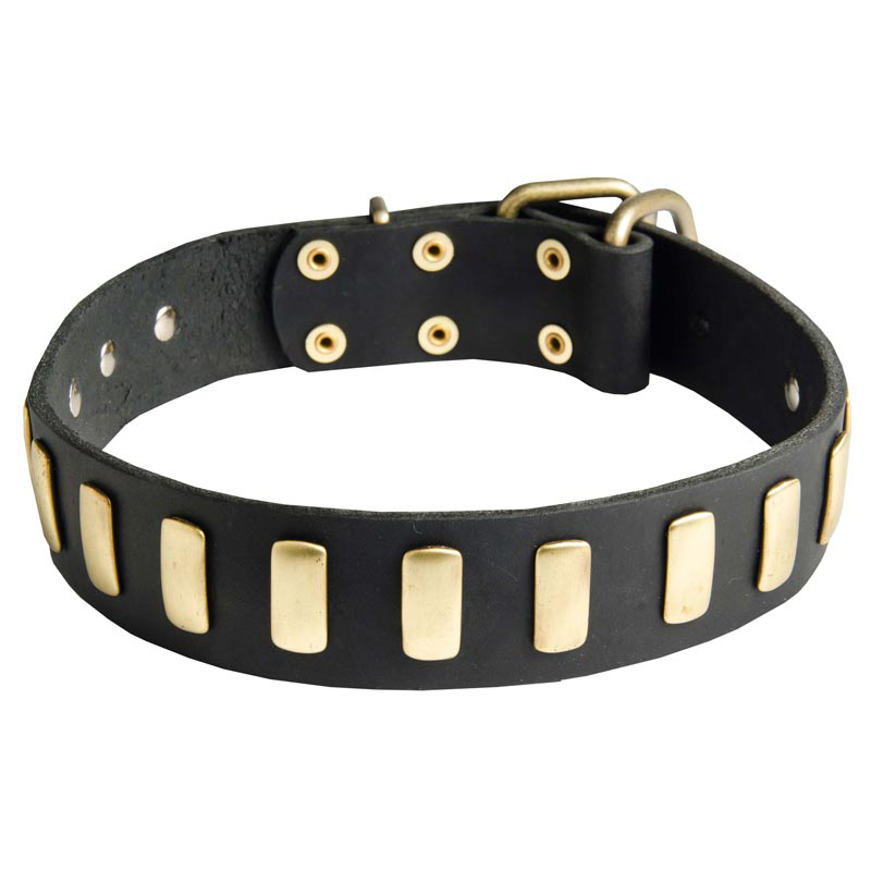 fancy leather dog collars
