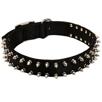Boxer Dog Nylon Collar Steel Nickel Plated Spikes