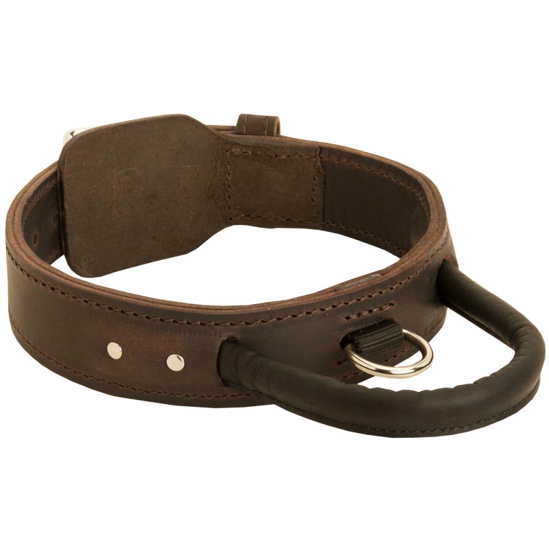 Extra Durable Leather Boxer Collar with Handle for Attack Training