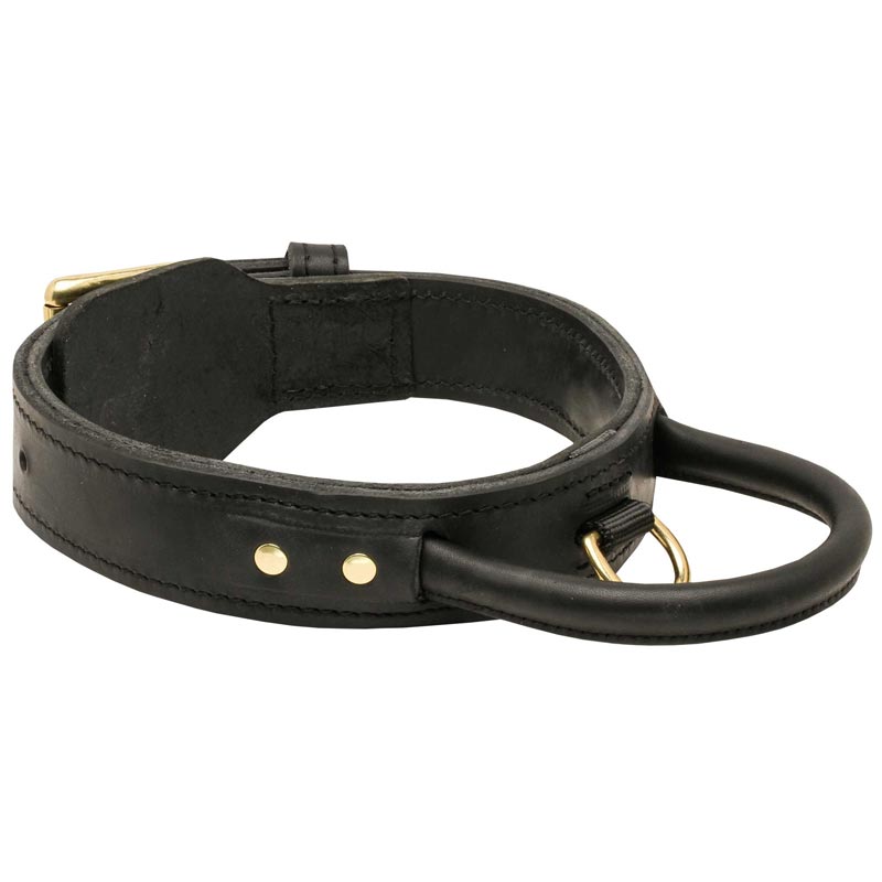 Extra Durable Leather Boxer Collar with Handle for Attack Training