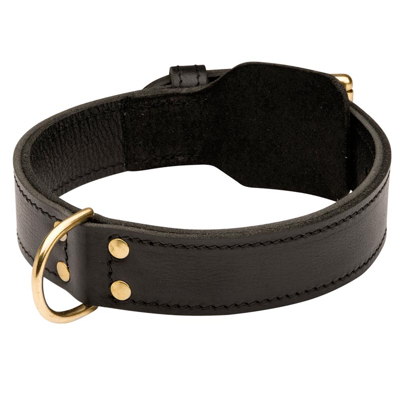 Training 2 Ply Leather Boxer Collar - Click Image to Close