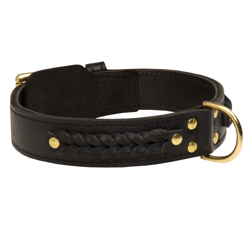 breakaway cat collar with bow