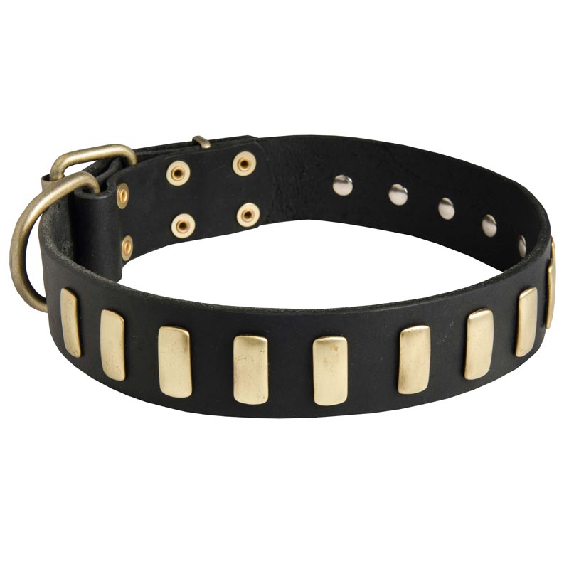 Fancy Leather Boxer Collar with Brass Plates