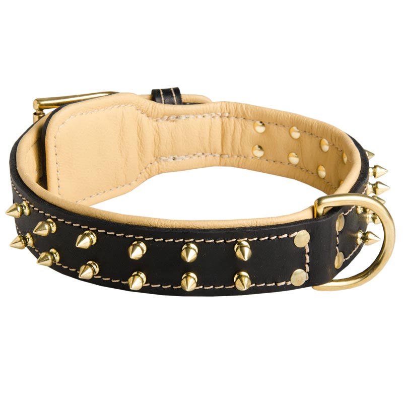 Royal Leather Boxer Collar Spiked Padded with Nappa Leather