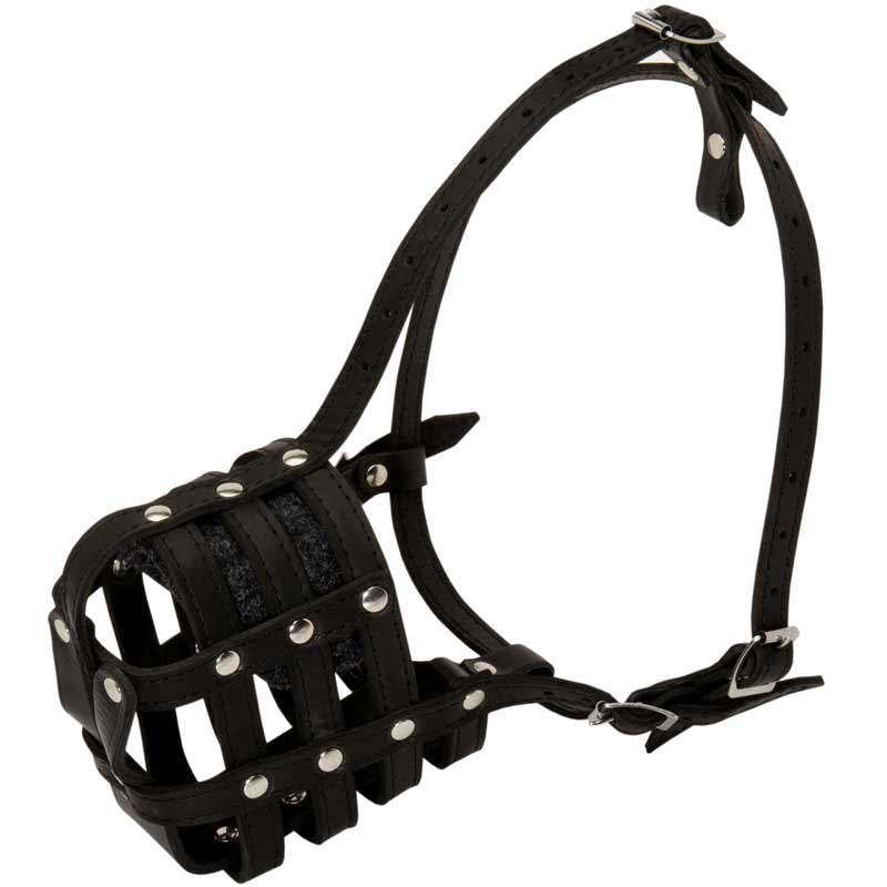 Walking and Training Leather Cage Boxer Muzzle
