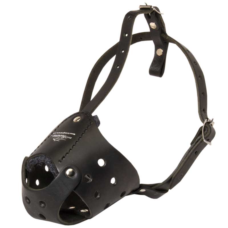 Everyday Leather Boxer Muzzle for Training