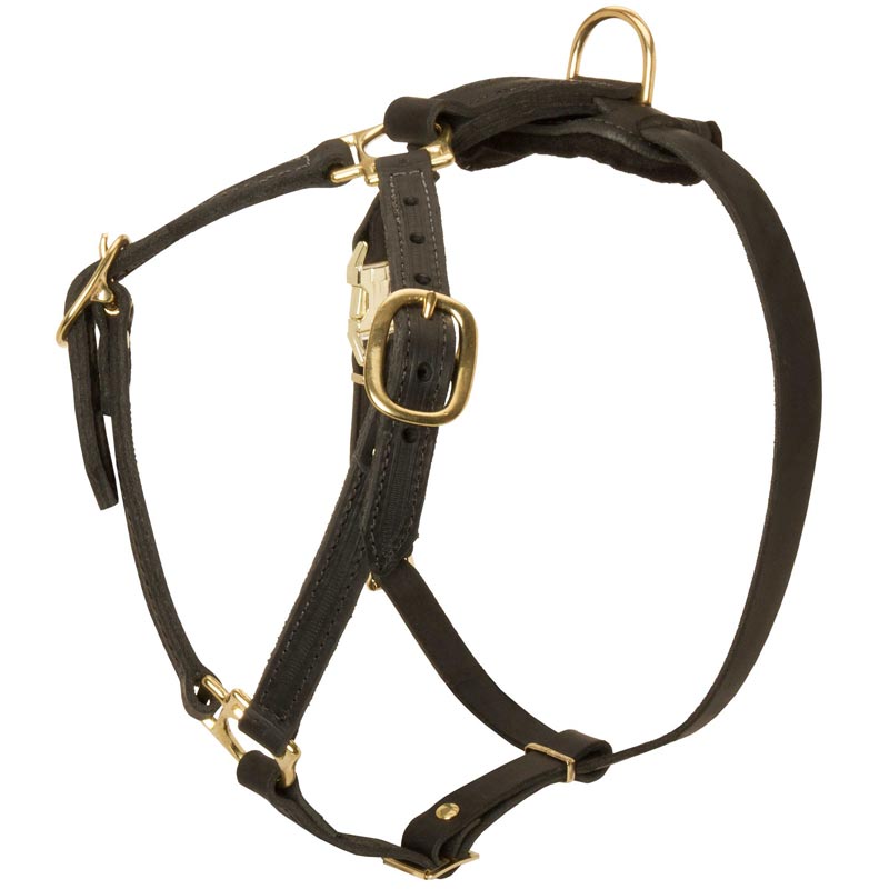 boxer dog harness