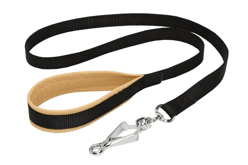 Nylon Boxer Leash with Support Material on the Handle for Walking and Training