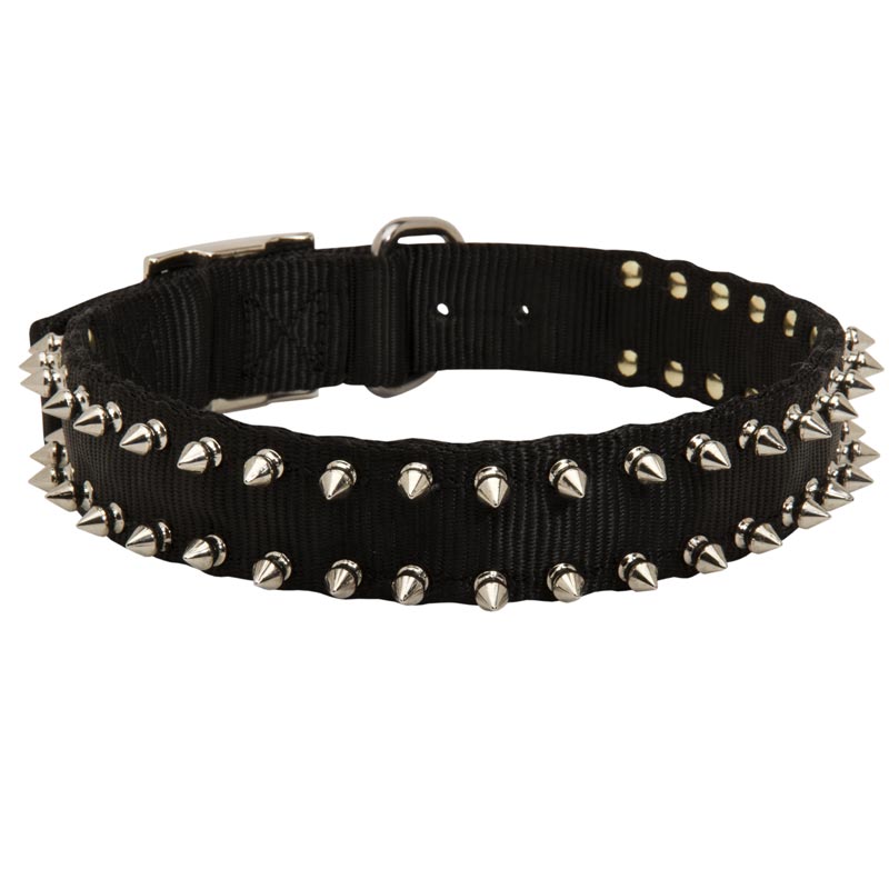 Boxer Nylon Collar Spiked - Click Image to Close