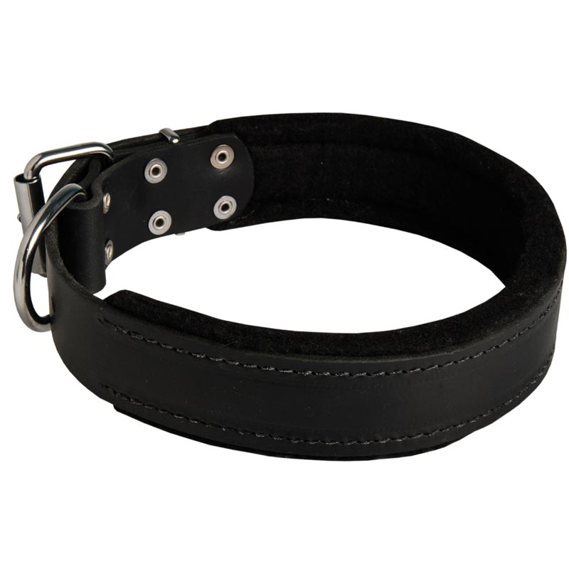 Boxer Durable Padded Leather Collar 40 mm - Click Image to Close