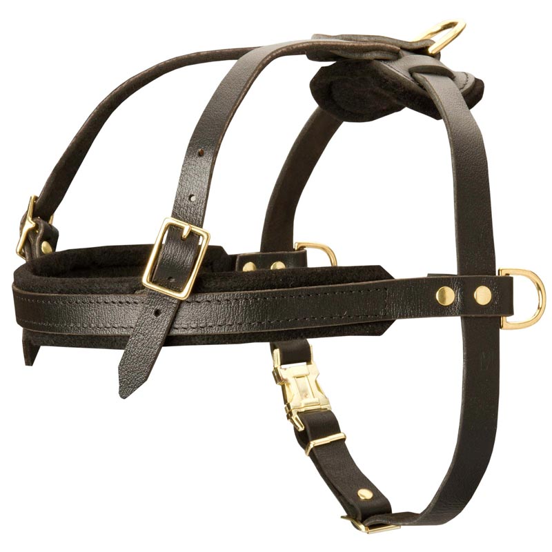 Leather Boxer Harness for Tracking and Pulling