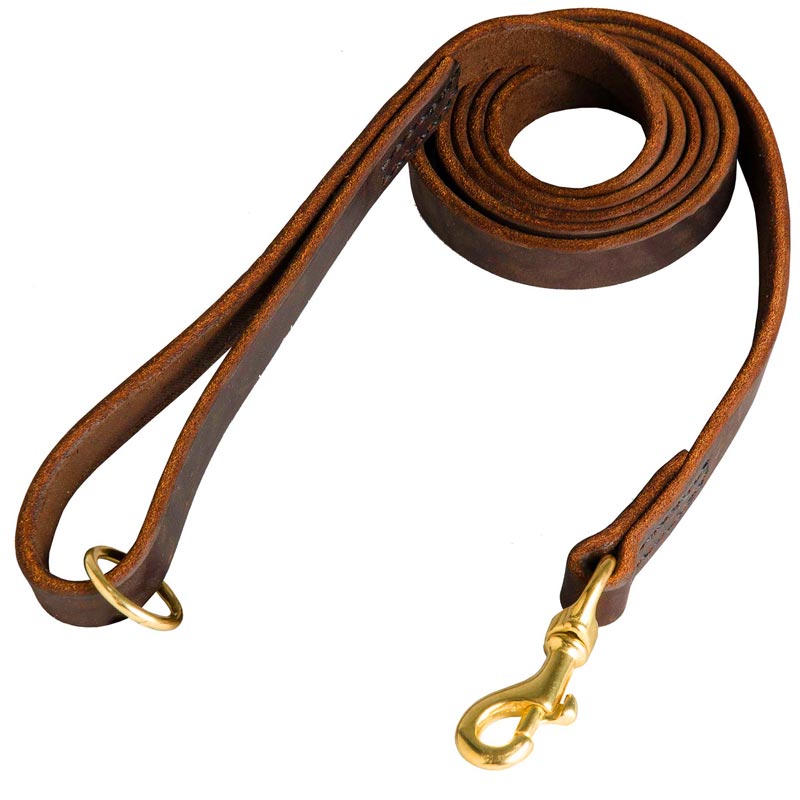 Stitched Leather Boxer Leash for Training and Walking