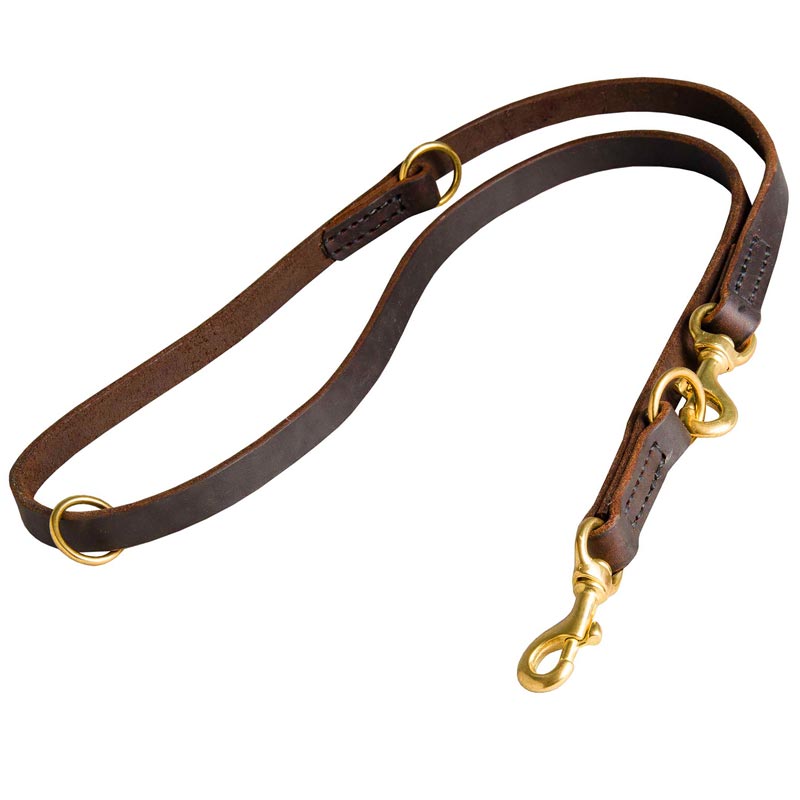 Multifunctional Leather Boxer Leash