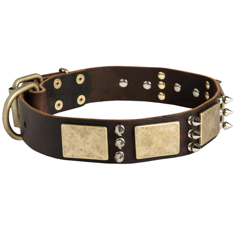 Designer War-Style Leather Boxer Collar with Spikes and Plates