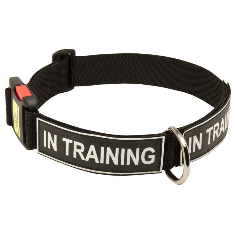 All Weather Nylon Boxer Collar with ID Patches