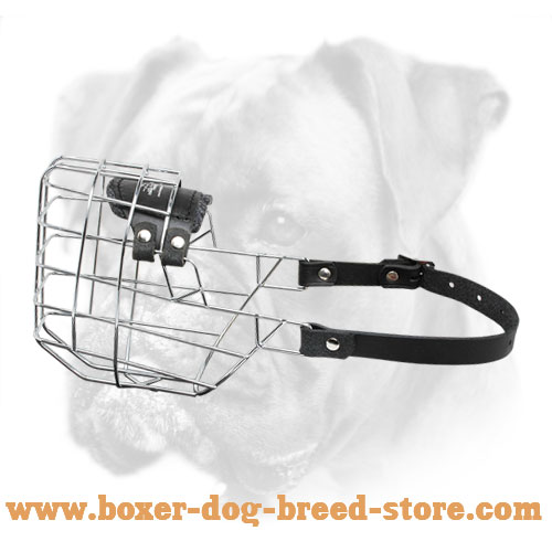 'The Silencer' Wire Cage Boxer Muzzle With One Strap