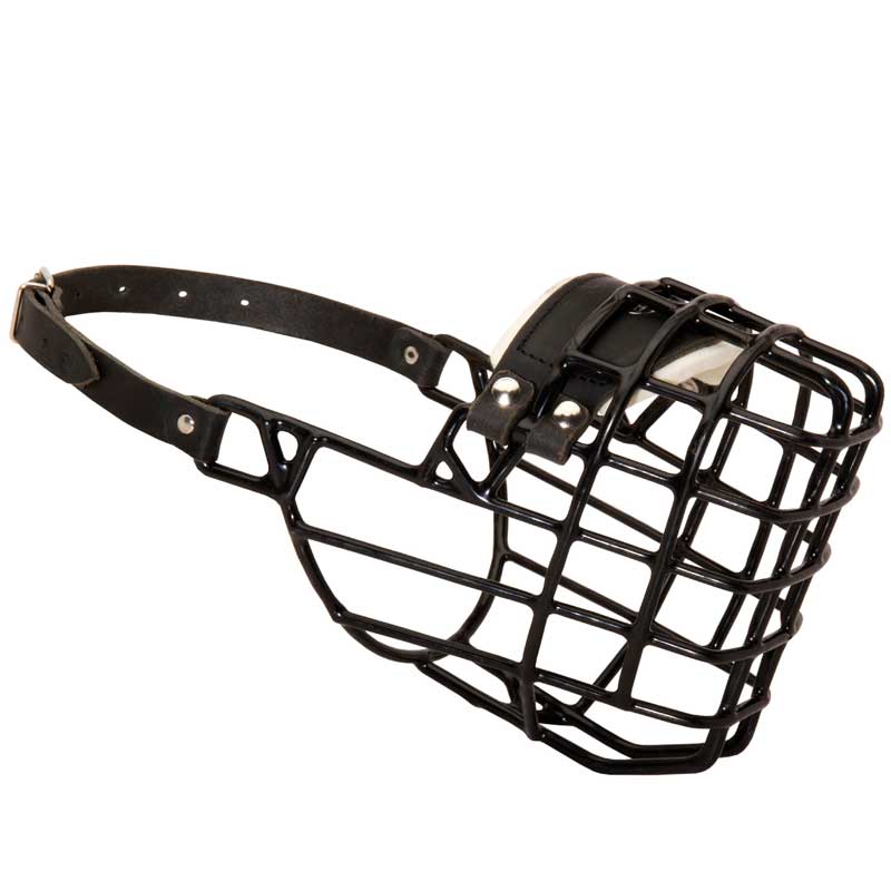 Frost-Resistant Wire Cage Boxer Muzzle with One Adjustable Strap