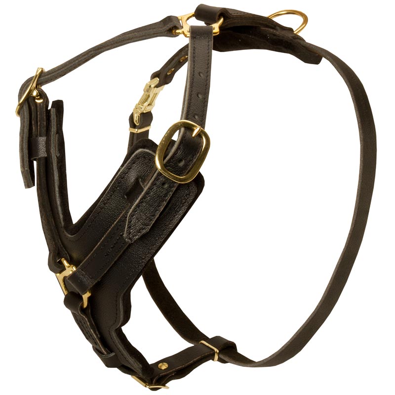 Padded Leather Boxer Harness for Agitation Training