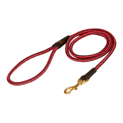 Boxer Nylon Leash Multifunctional