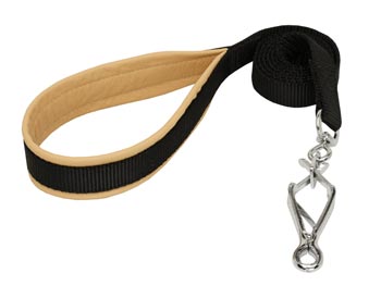 Boxer Nylon Leash for Walking and Training