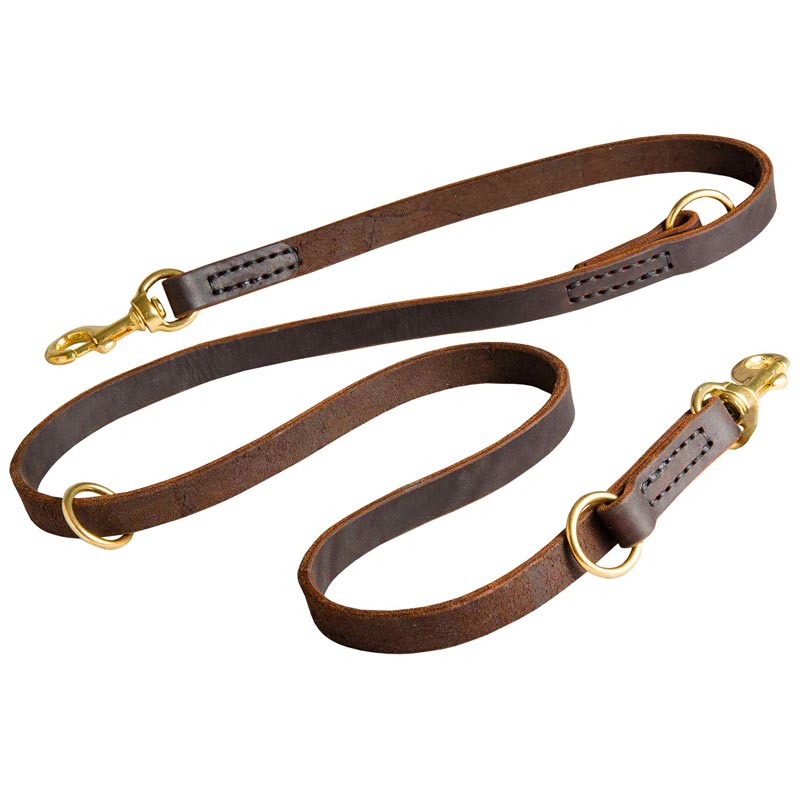 Multifunctional Leather Boxer Leash 