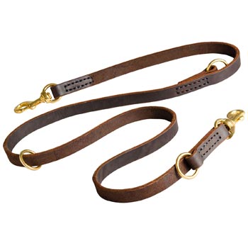 Leather Leash for Boxer Everyday Walking