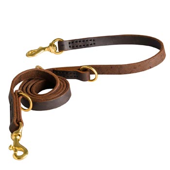 Strong Leather Leash for Boxer Successful Training