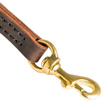 Boxer Leather Leash with Brass Hardware