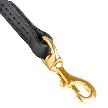 Boxer Leather Leash with Massive Gold-like Snap Hook