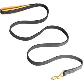 Padded Leather Boxer Leash for Everyday Walking