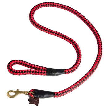 Boxer Red Nylon Leash for Walking and Training