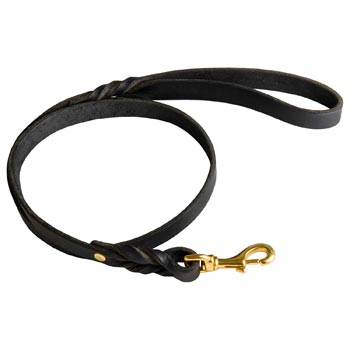 Best Training Boxer Leash with Braided Details on Opposite Sides