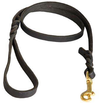 Training Leash for Boxer