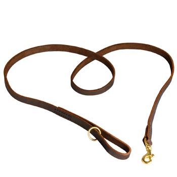 Durable Leather Boxer Leash